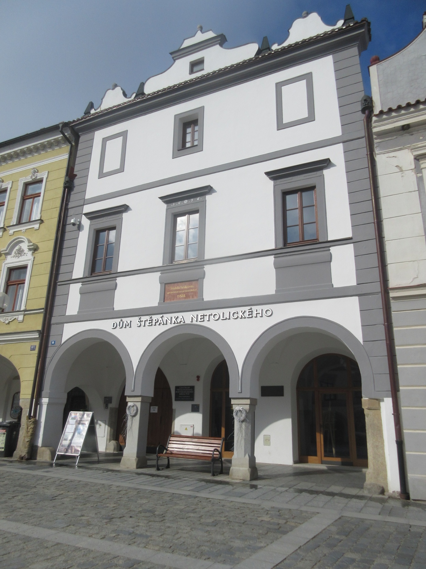Netolický rybník